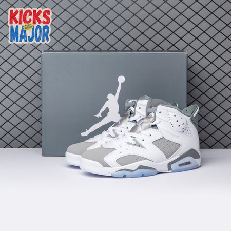 Air Jordan 6 Cool Grey CT8529-100 Men's