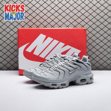 Nike Air Max Plus Wolf Grey 852630-021 Unisex