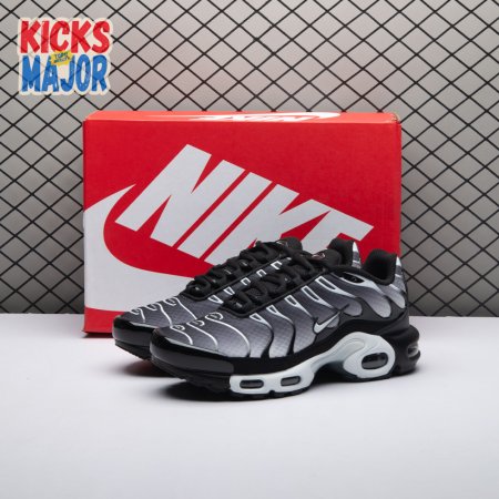 Nike Air Max Plus Black Silver White DM0032-003 Unisex